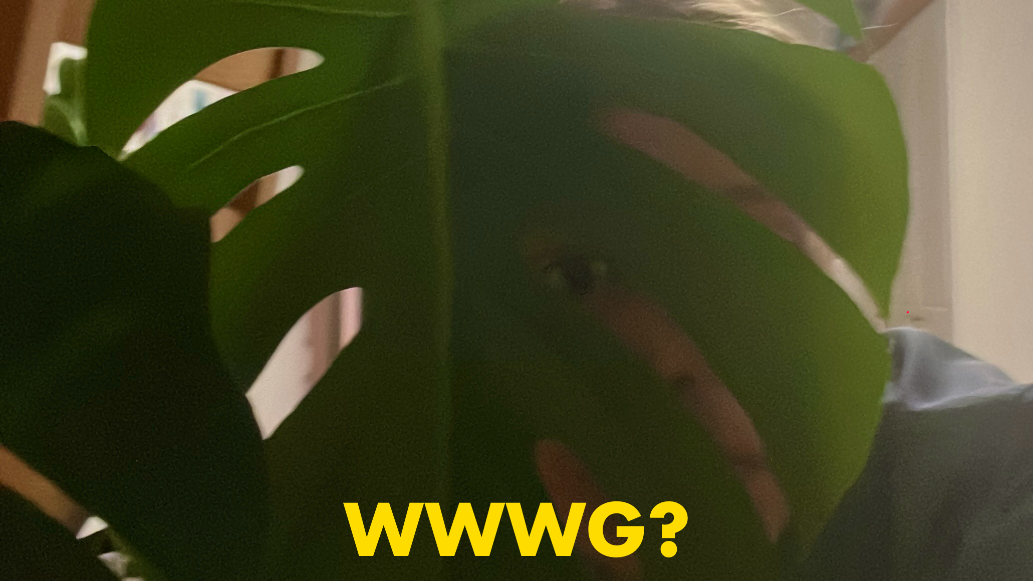 WWWG?
